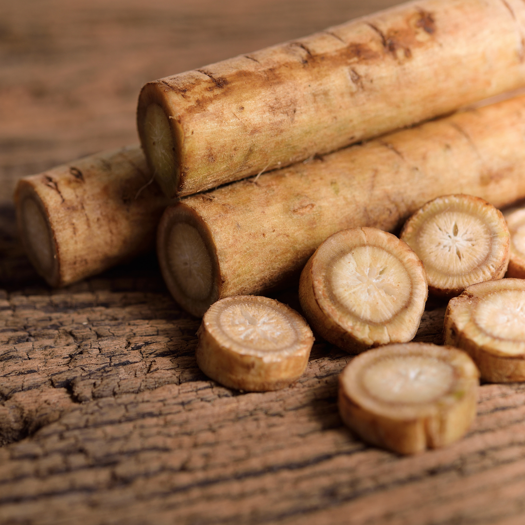 Burdock Root