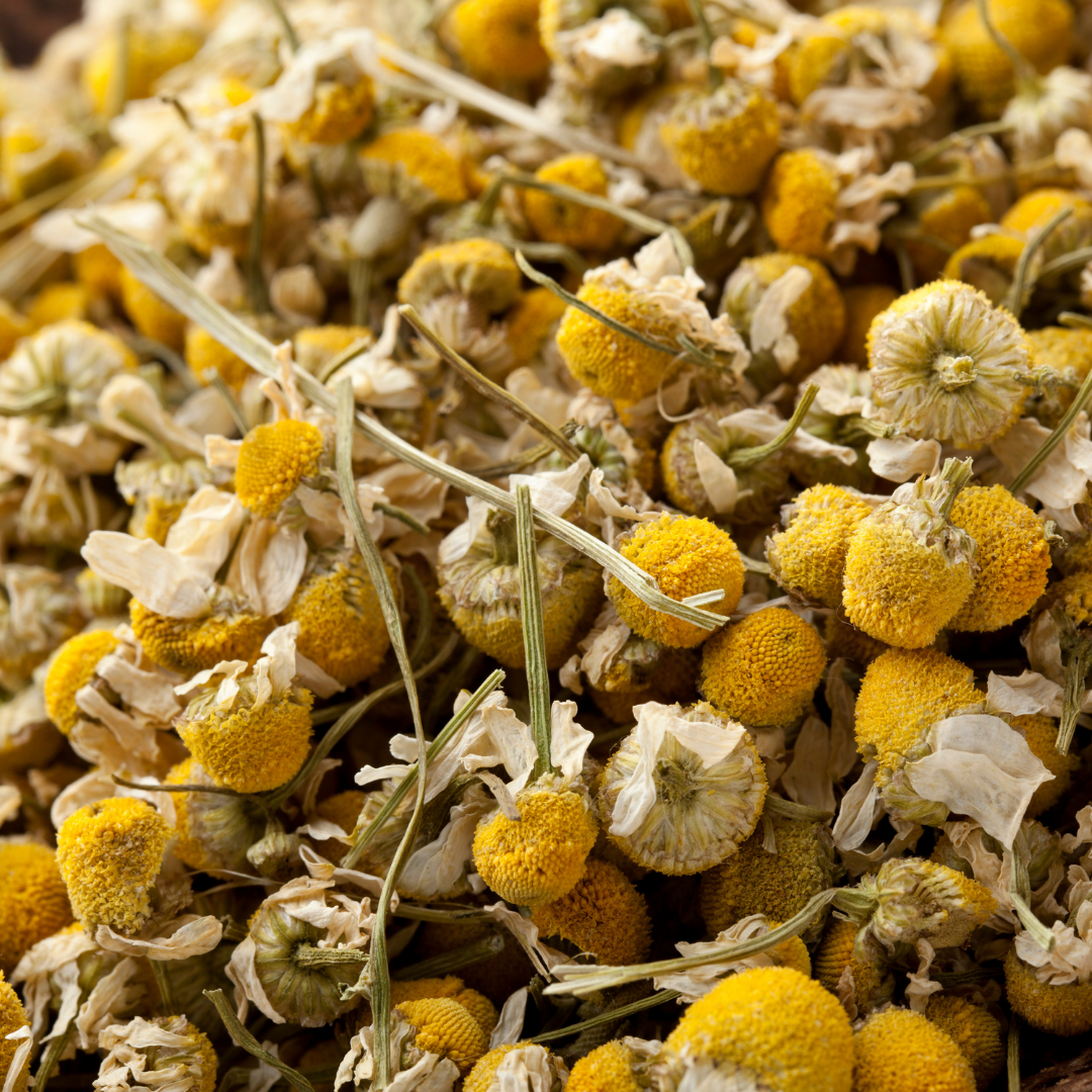 Chamomile