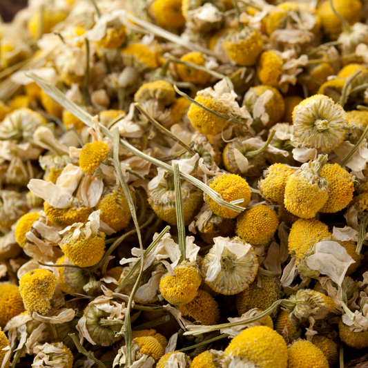 Chamomile