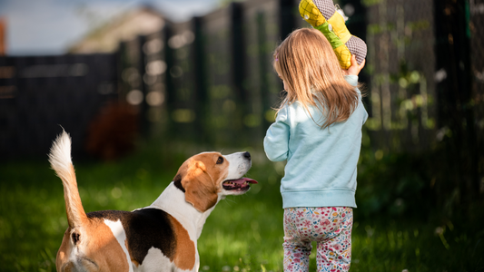 Green Pest Management for Families with Kids and Pets