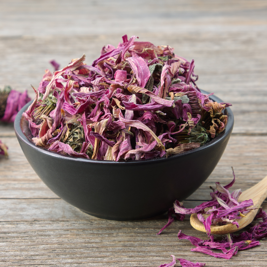Echinacea