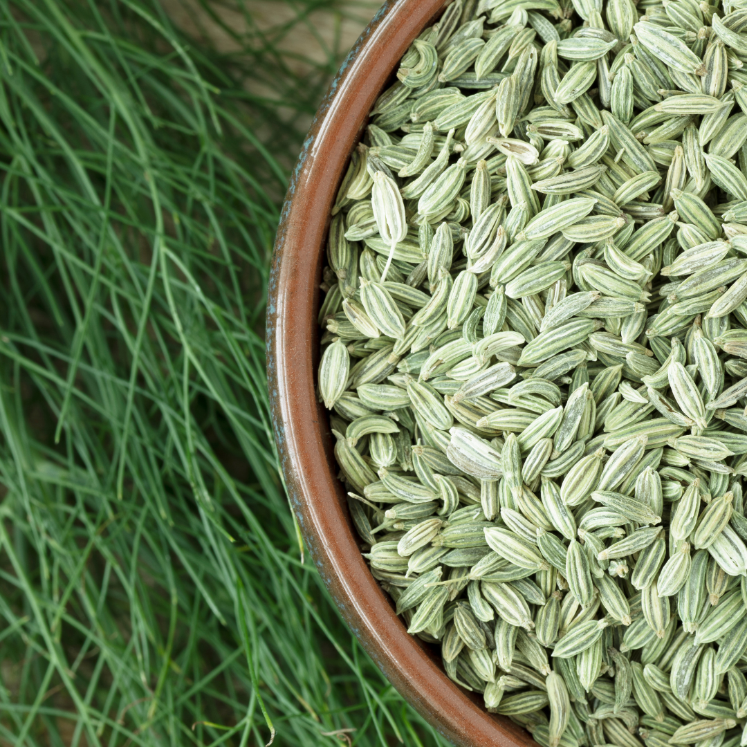 Fennel Seed