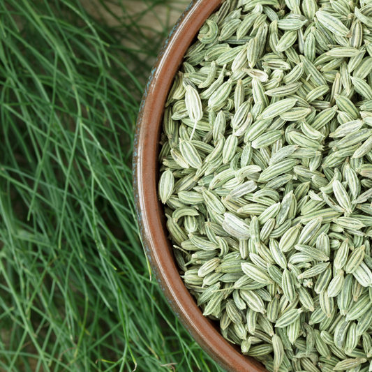Fennel Seed