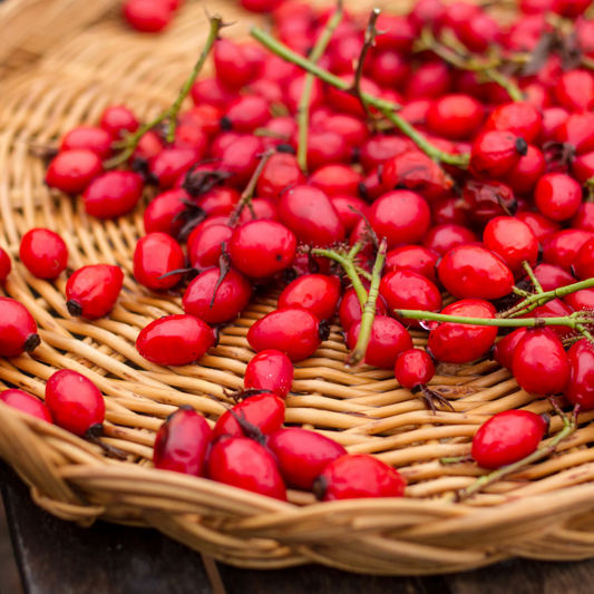 Rose Hips