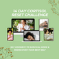 14 Day Cortisol Reset Challenge